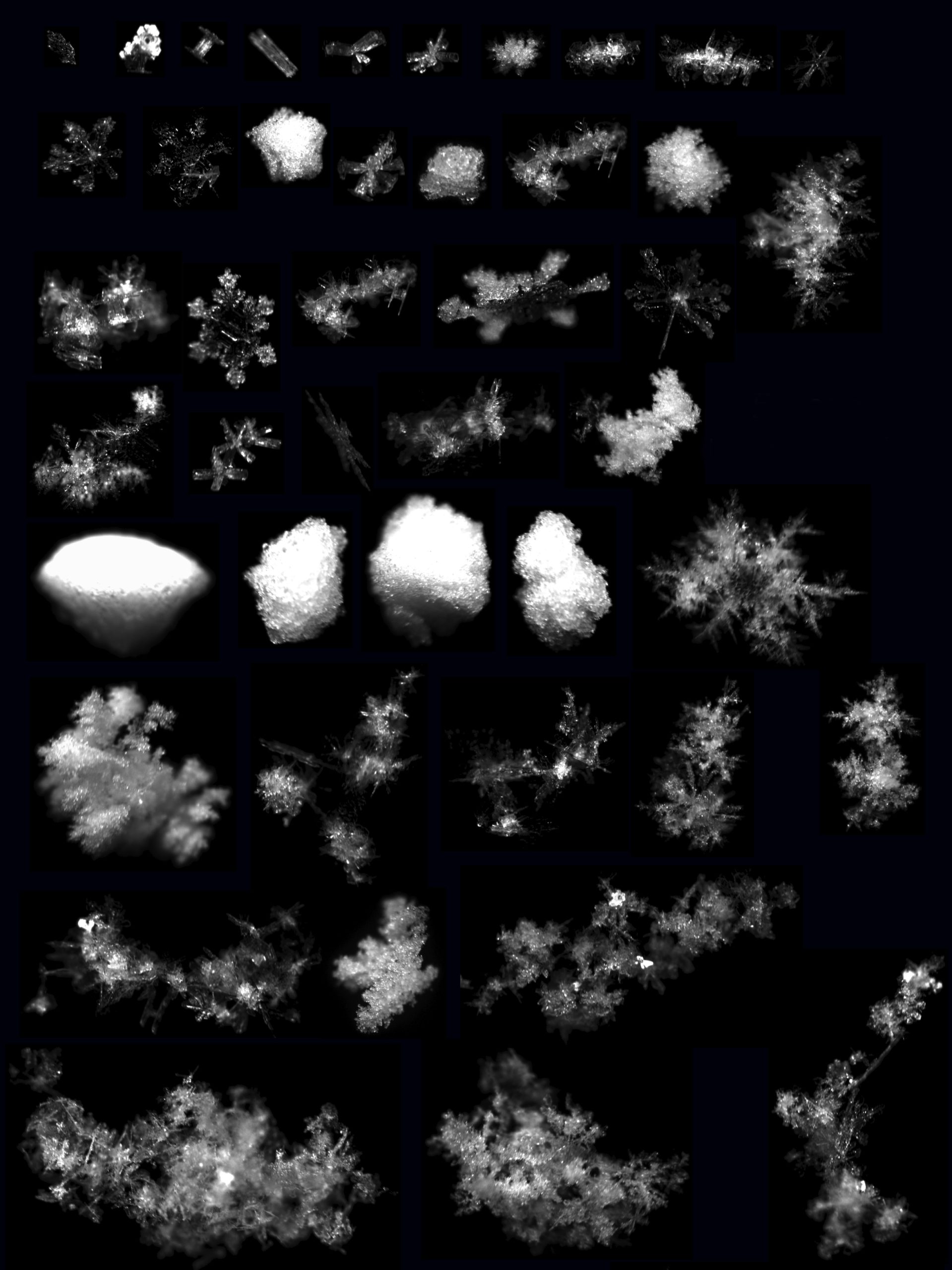 snowflakesfa_TGarret_UUtah